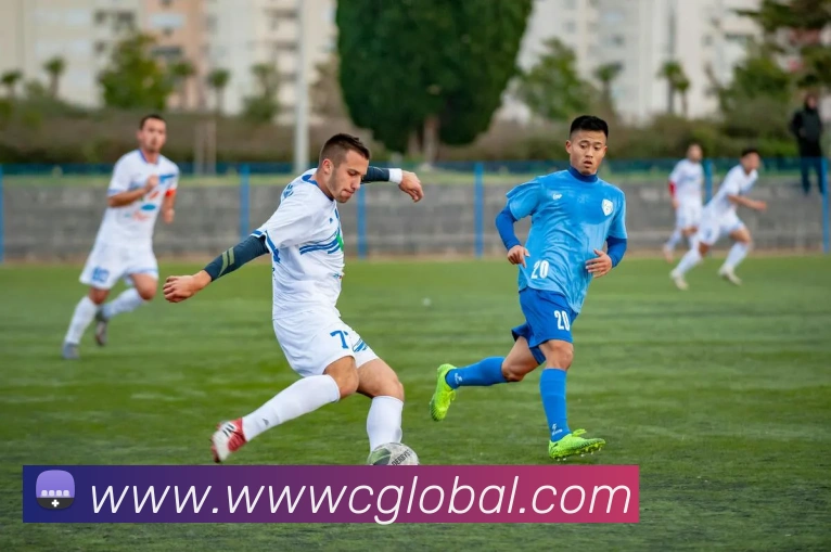数据分析功能